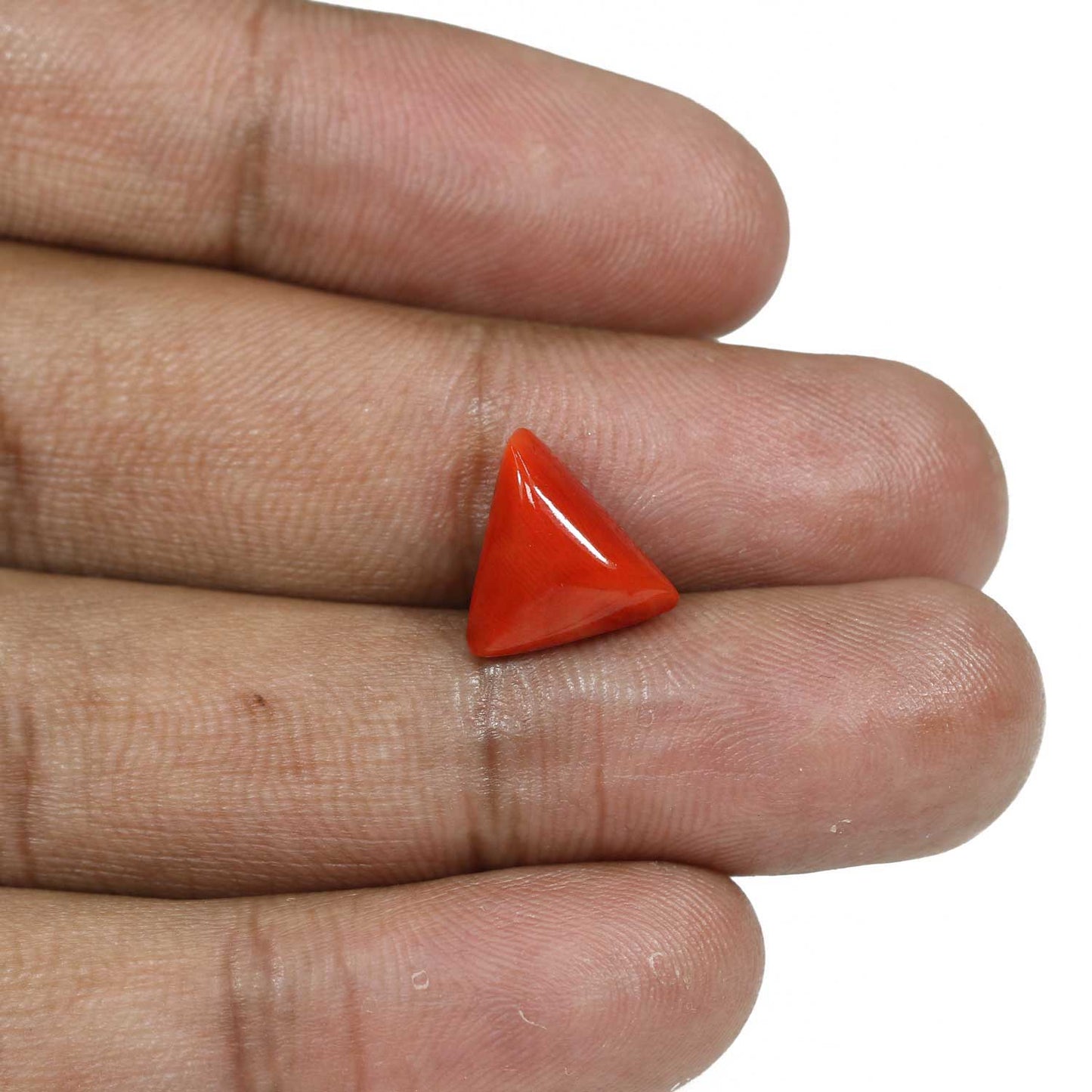 Red Coral (Moonga) - 5.82 Carat