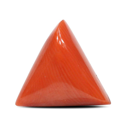 Red Coral (Moonga) - 5.97 Carat