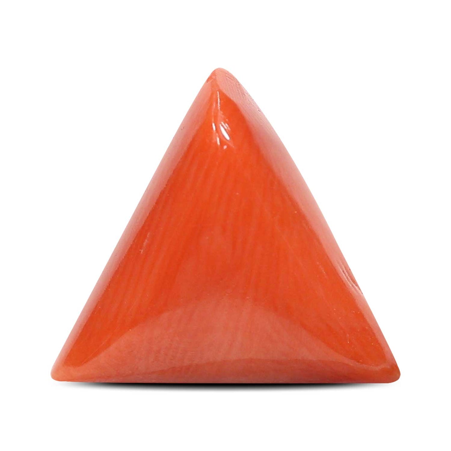Red Coral (Moonga) - 5.97 Carat