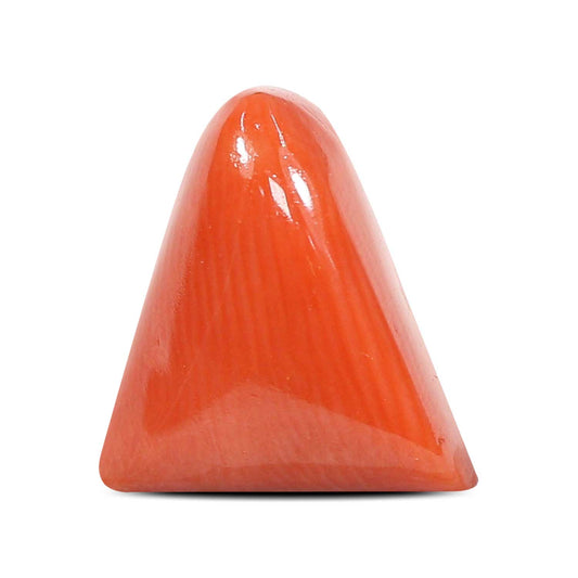Red Coral (Moonga) - 5.82 Carat