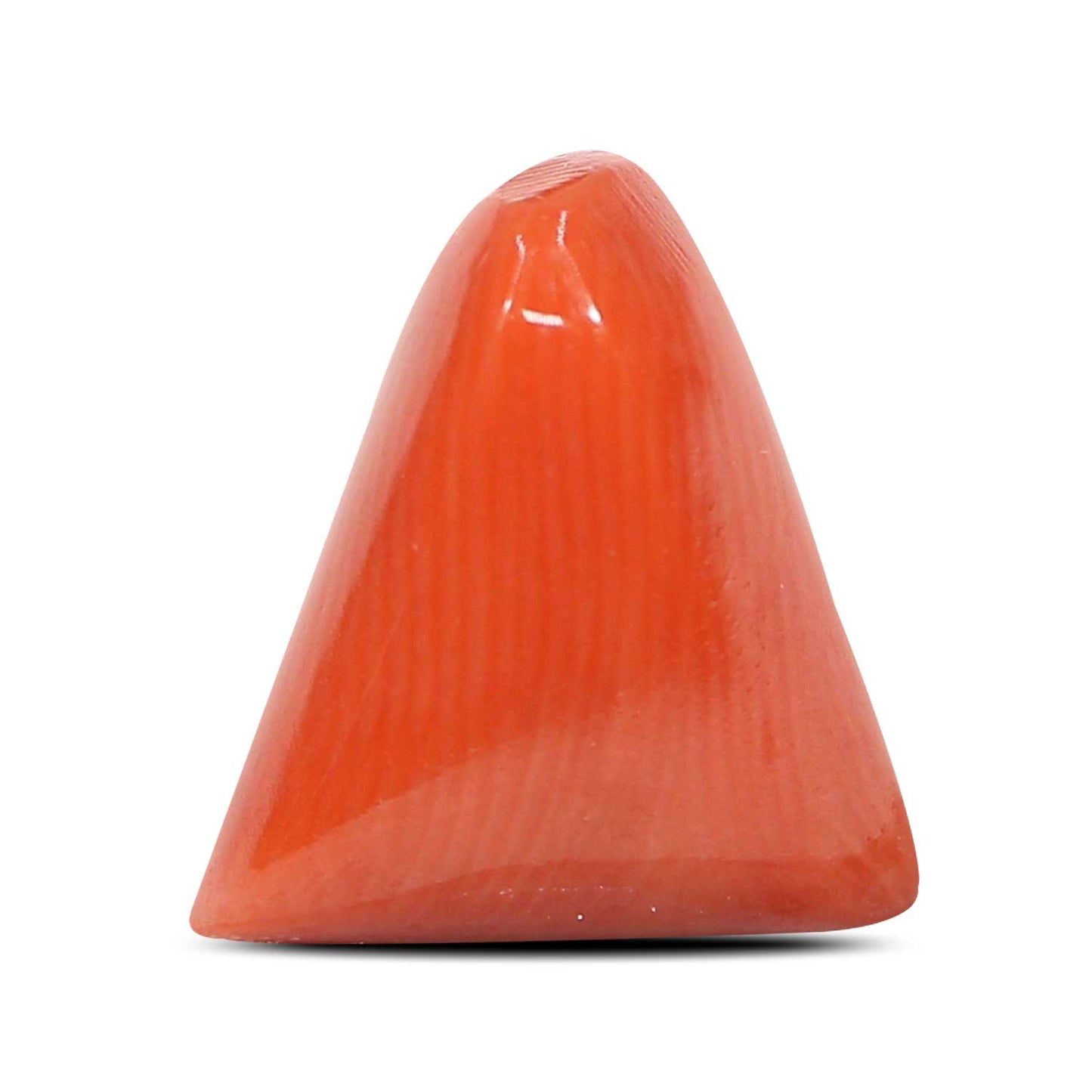 Red Coral (Moonga) - 5.82 Carat