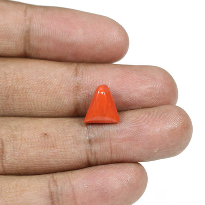 Red Coral (Moonga) - 5.82 Carat
