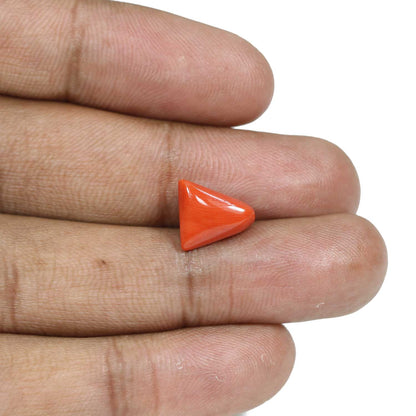 Red Coral (Moonga) - 5.82 Carat