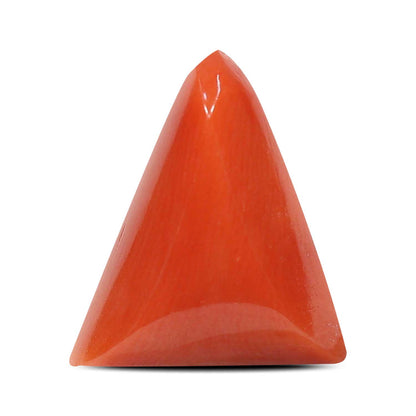 Red Coral (Moonga) - 5.51 Carat