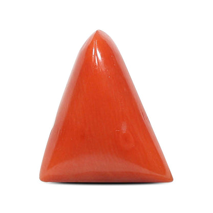Red Coral (Moonga) - 5.51 Carat