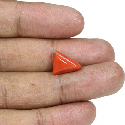 Red Coral (Moonga) - 5.51 Carat