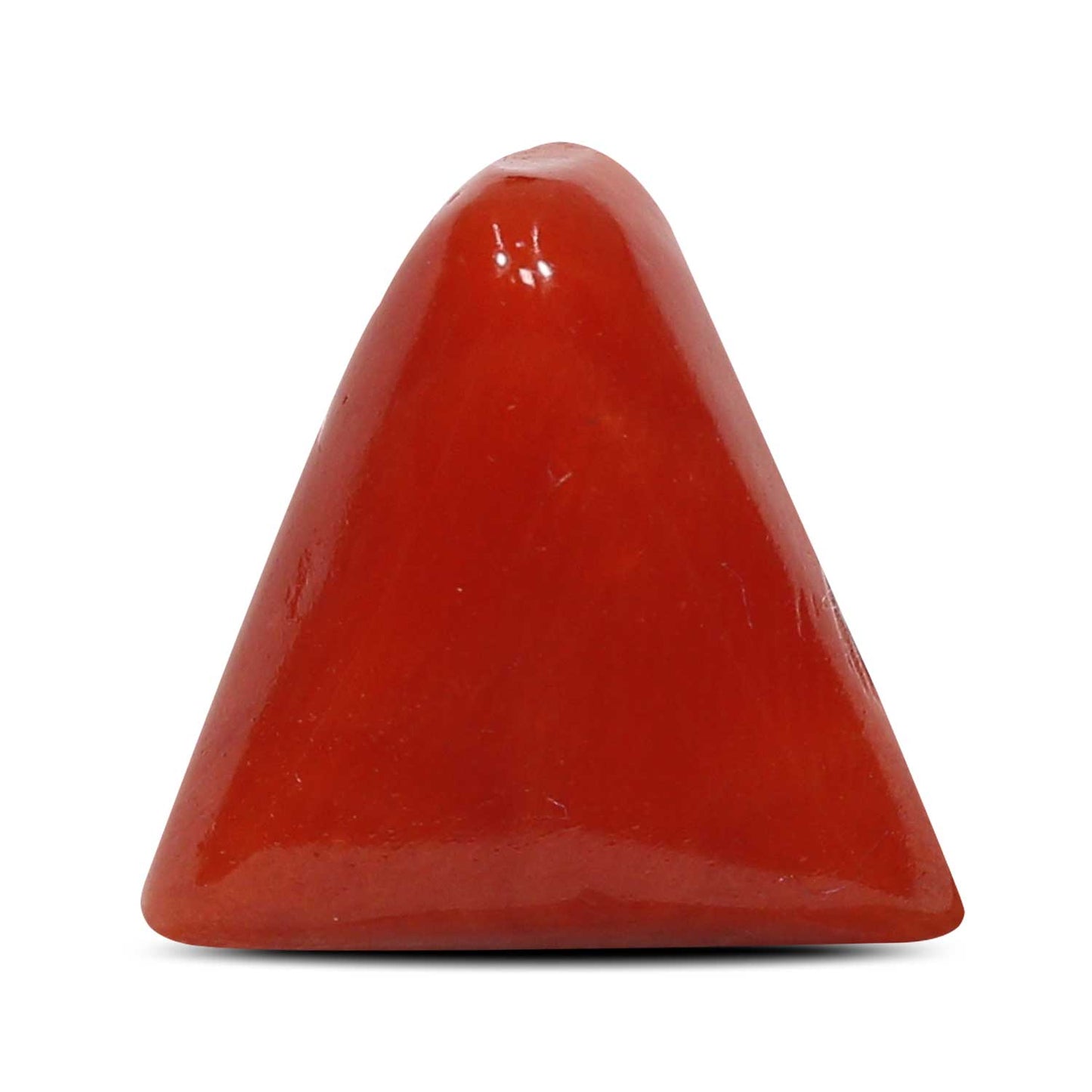 Red Coral (Moonga) - 5.25 Carat