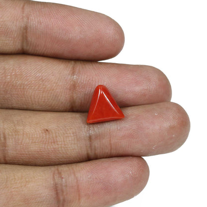 Red Coral (Moonga) - 5.25 Carat