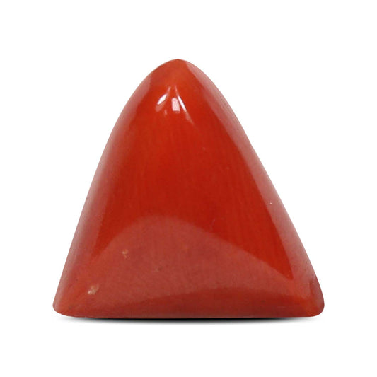 Red Coral (Moonga) - 5.41 Carat