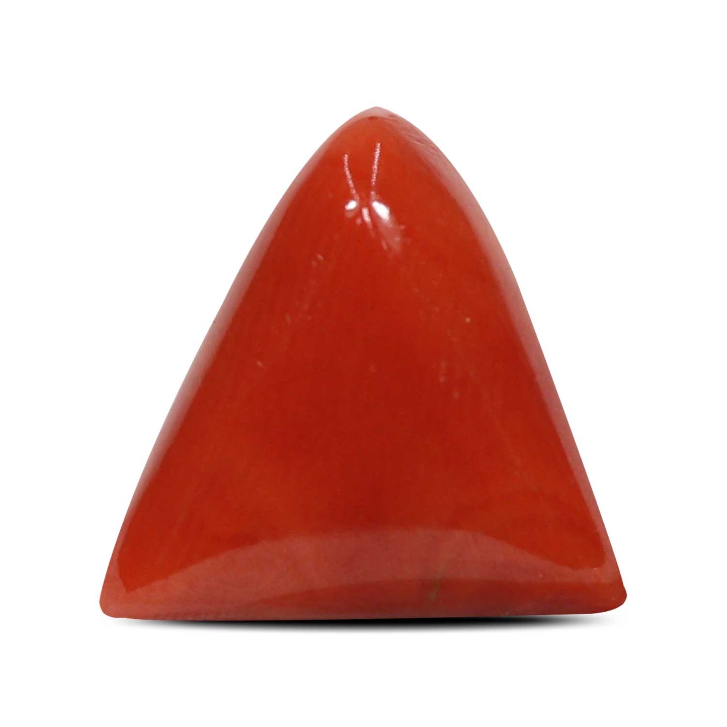Red Coral (Moonga) - 5.41 Carat