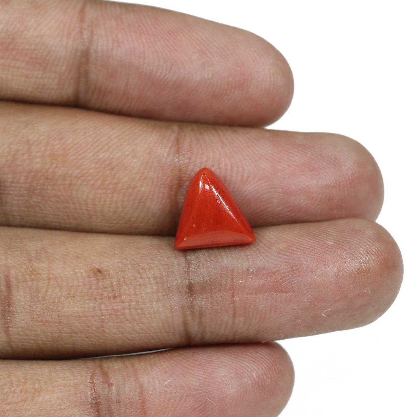 Red Coral (Moonga) - 5.41 Carat