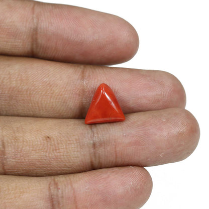 Red Coral (Moonga) - 5.41 Carat