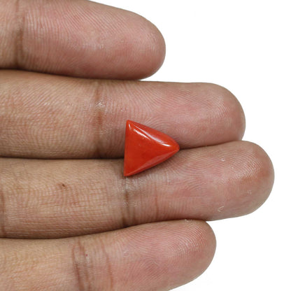 Red Coral (Moonga) - 5.41 Carat