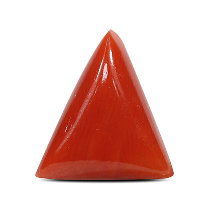 Red Coral (Moonga) - 5.82 Carat