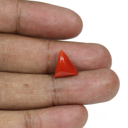 Red Coral (Moonga) - 5.82 Carat