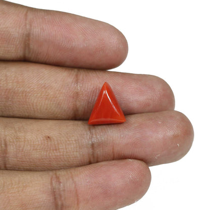 Red Coral (Moonga) - 5.82 Carat