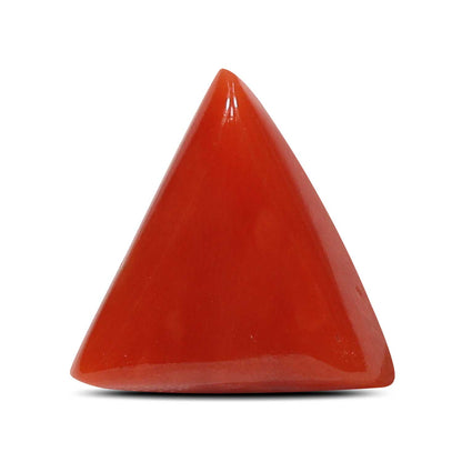 Red Coral (Moonga) - 5.01 Carat