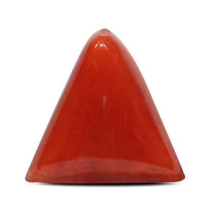 Red Coral (Moonga) - 5.76 Carat
