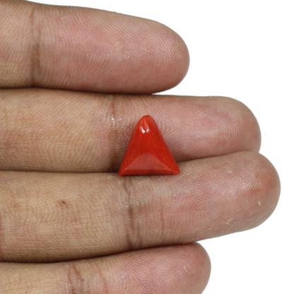 Red Coral (Moonga) - 5.76 Carat