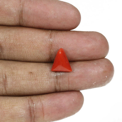Red Coral (Moonga) - 4.82 Carat