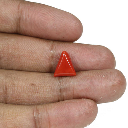 Red Coral (Moonga) - 4.82 Carat