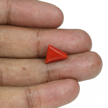 Red Coral (Moonga) - 4.82 Carat