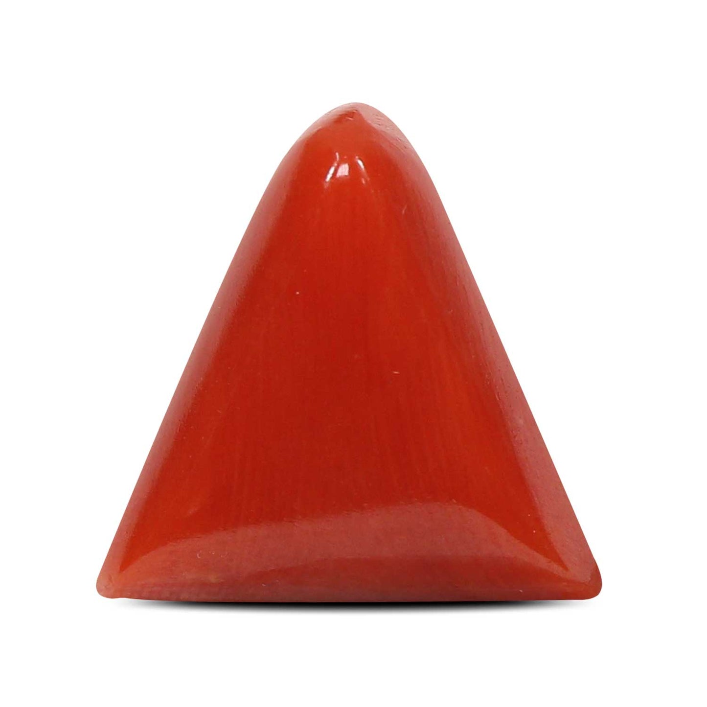 Red Coral (Moonga) - 4.99 Carat
