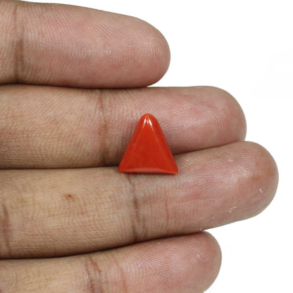 Red Coral (Moonga) - 4.99 Carat