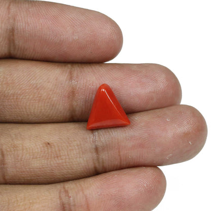 Red Coral (Moonga) - 4.99 Carat