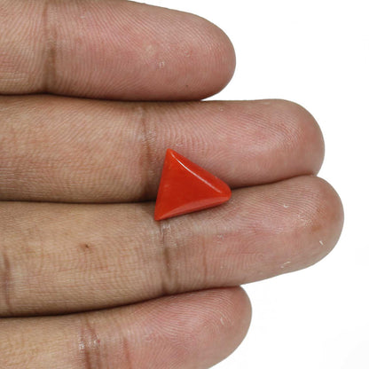 Red Coral (Moonga) - 4.99 Carat