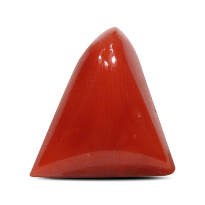 Red Coral (Moonga) - 5.55 Carat