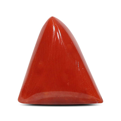 Red Coral (Moonga) - 5.55 Carat