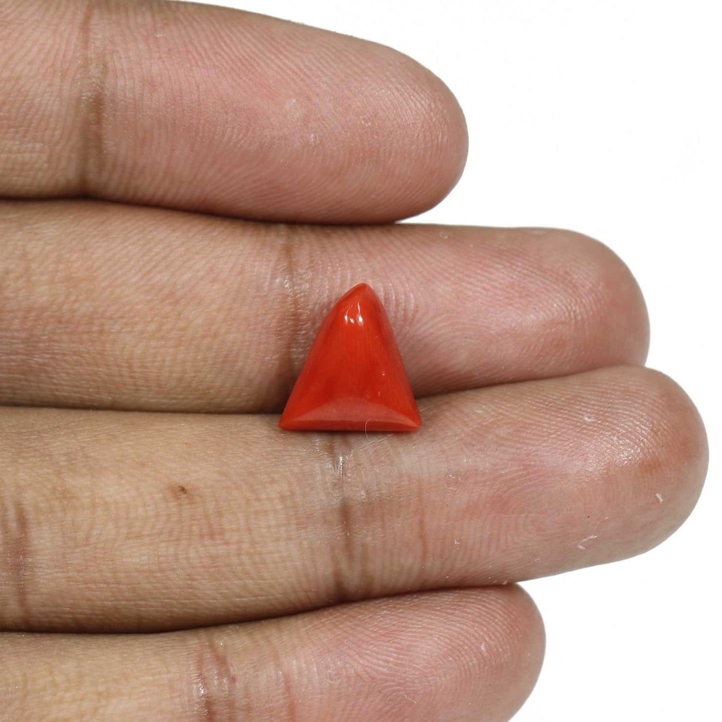 Red Coral (Moonga) - 5.55 Carat