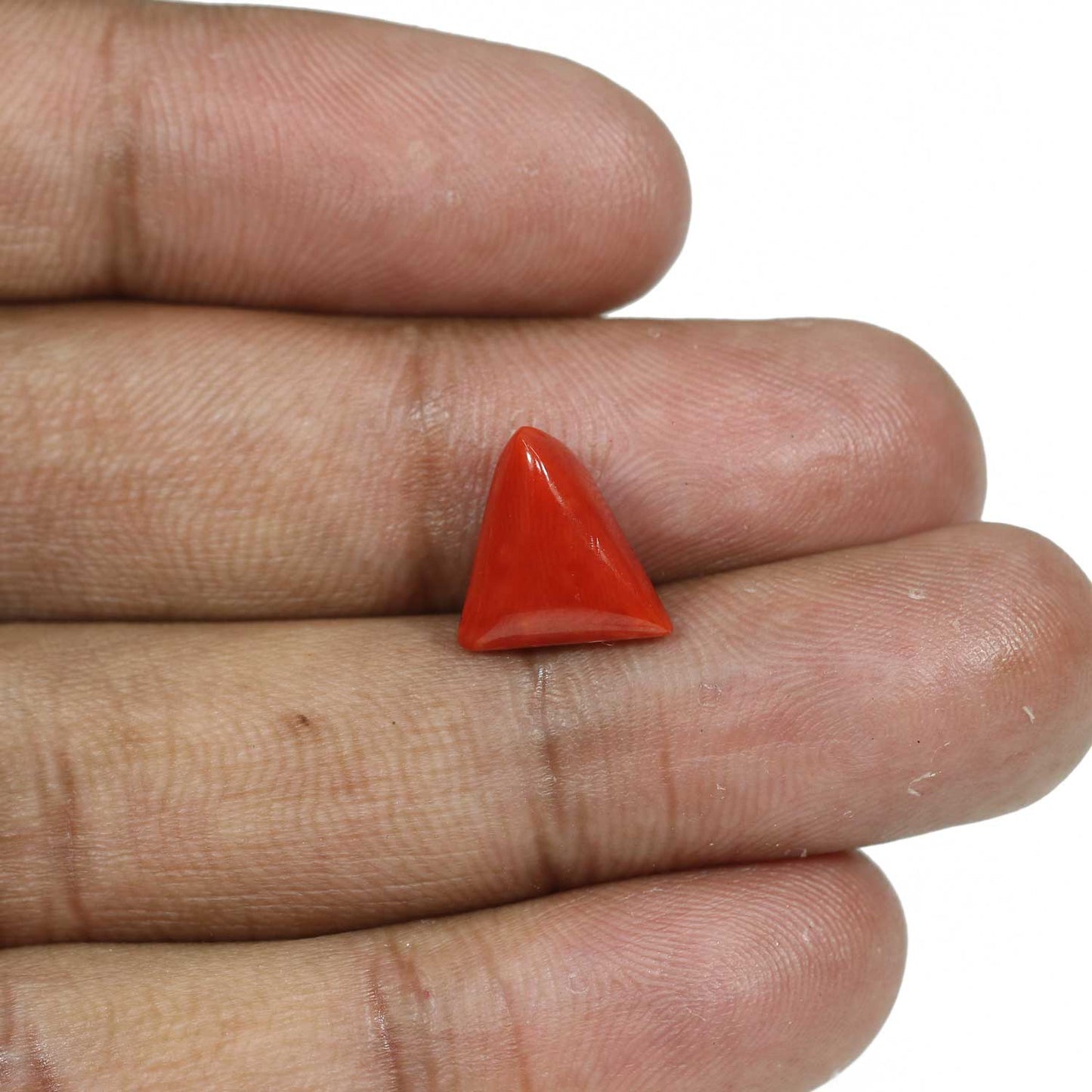 Red Coral (Moonga) - 5.55 Carat