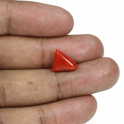 Red Coral (Moonga) - 5.55 Carat
