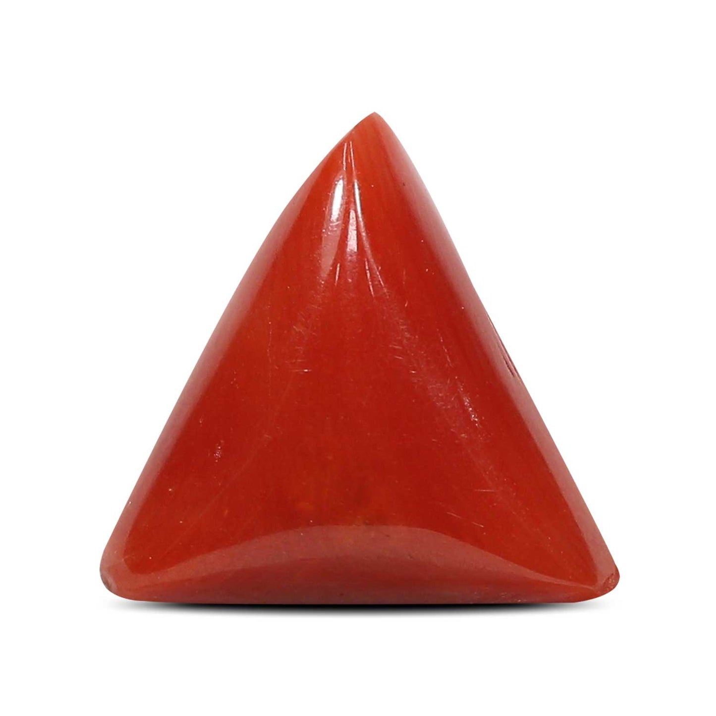 Red Coral (Moonga) - 4.91 Carat