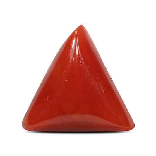 Red Coral (Moonga) - 4.91 Carat
