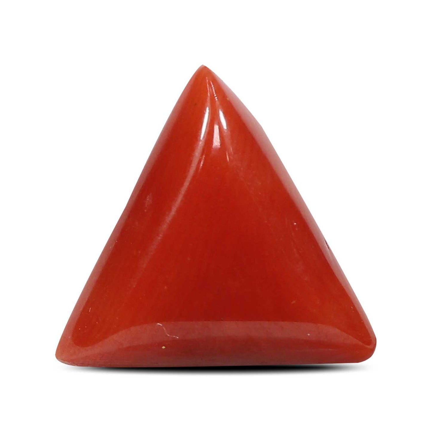 Red Coral (Moonga) - 4.91 Carat