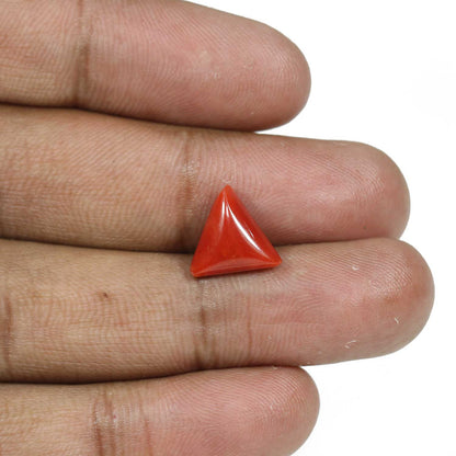 Red Coral (Moonga) - 4.91 Carat