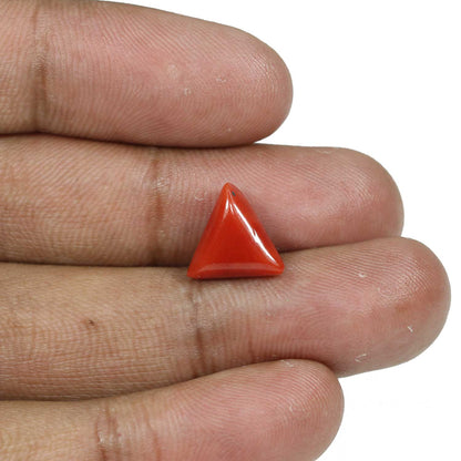 Red Coral (Moonga) - 4.91 Carat