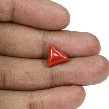 Red Coral (Moonga) - 4.91 Carat