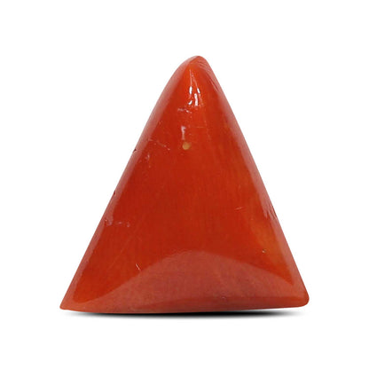 Red Coral (Moonga) - 4.88 Carat