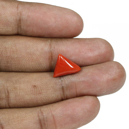 Red Coral (Moonga) - 4.88 Carat