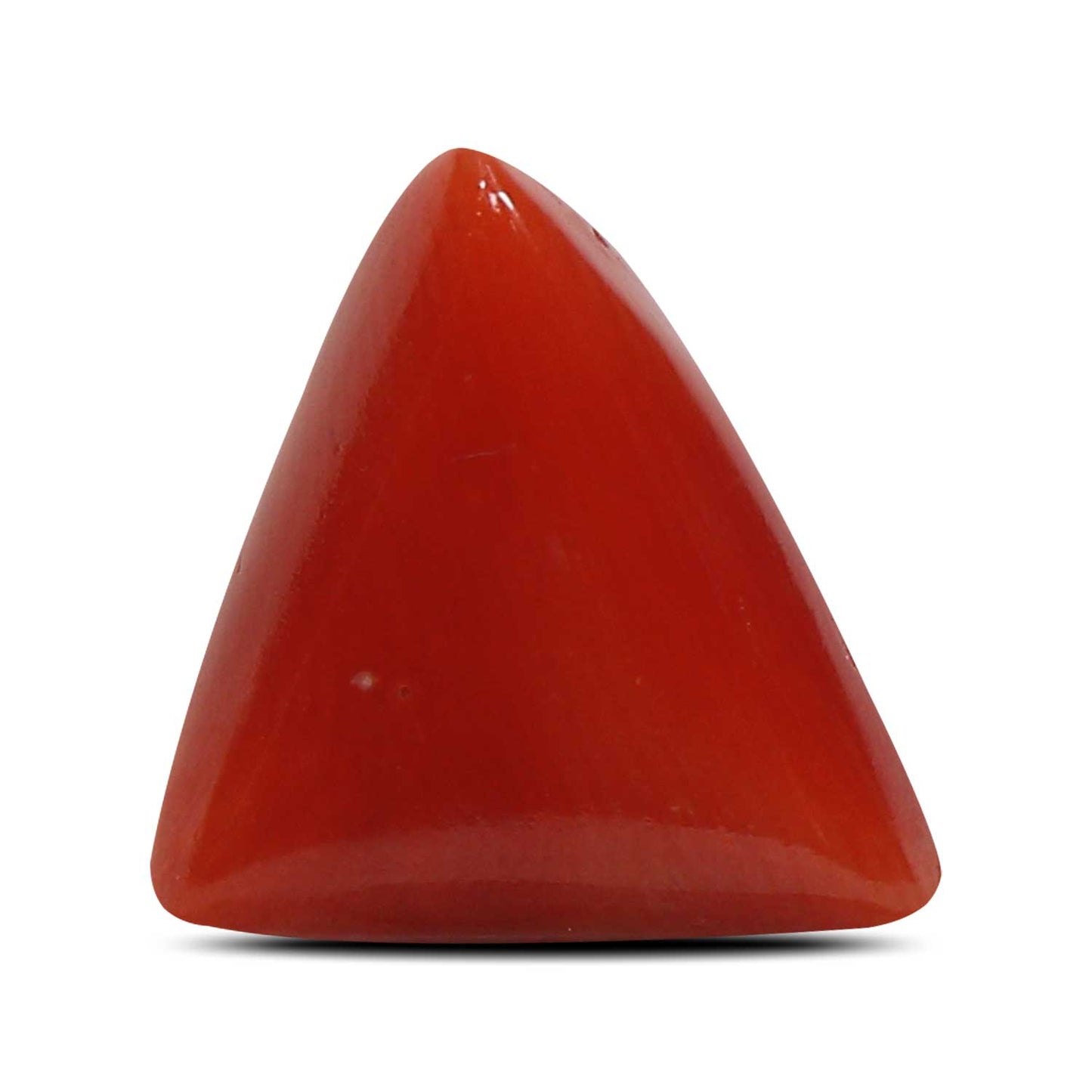 Red Coral (Moonga) - 5.56 Carat