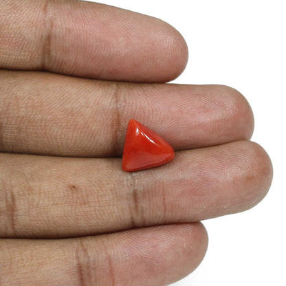 Red Coral (Moonga) - 5.56 Carat