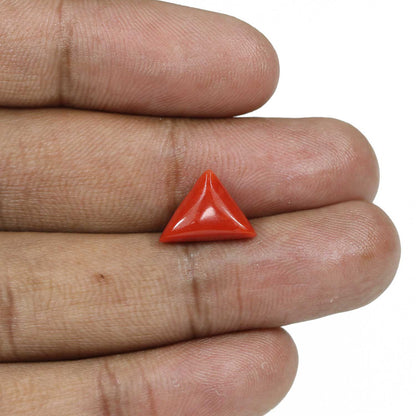 Red Coral (Moonga) - 5.09 Carat