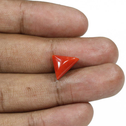 Red Coral (Moonga) - 5.09 Carat