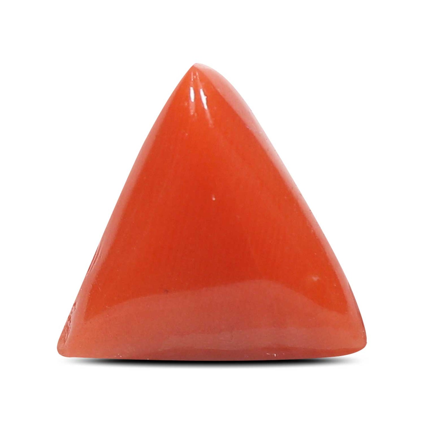 Red Coral (Moonga) - 4.88 Carat