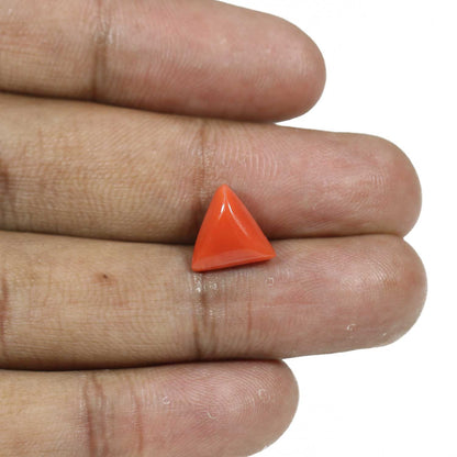Red Coral (Moonga) - 4.88 Carat