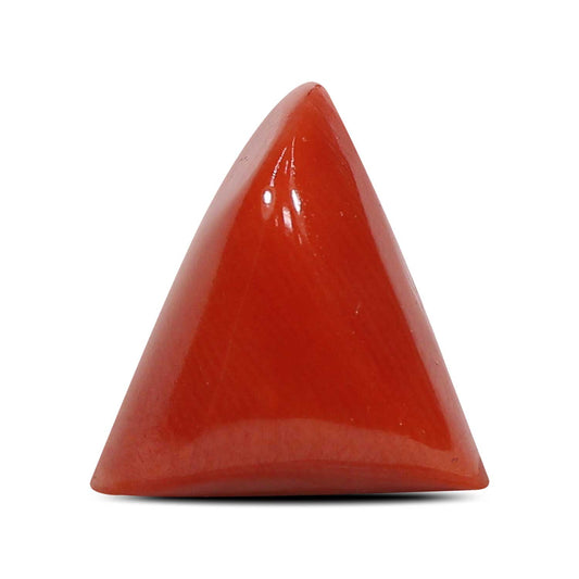 Red Coral (Moonga) - 5.91 Carat